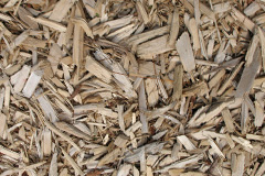 biomass boilers Treburgett